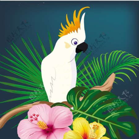 漂亮鹦鹉与植物花卉背景图