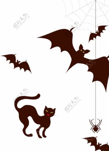 蝙蝠黑猫蜘蛛网
