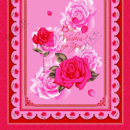 红色玫瑰花方巾
