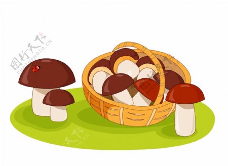 篮子里的蘑菇