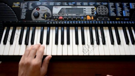 音乐乐器键盘手视频
