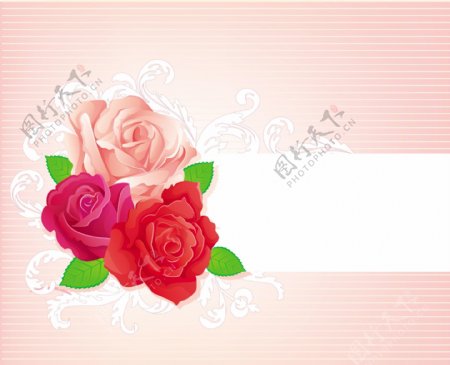 三朵玫瑰花卡通素材