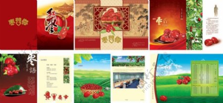 中国古典枣画册设计PSD素材