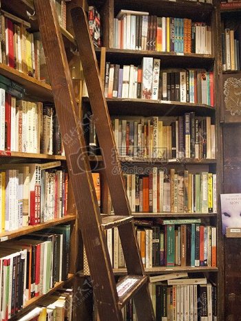 书架旁的木梯