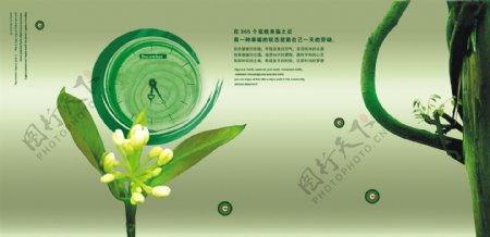 PSD绿色文化画册封面