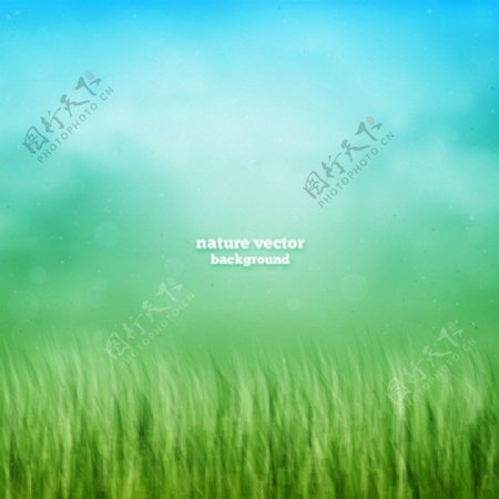 抽象的绿色草原