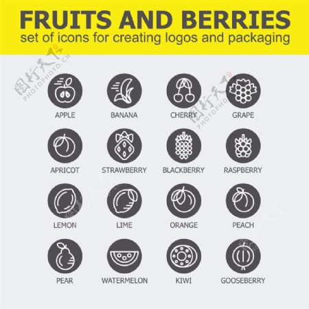 水果和浆果图标图片