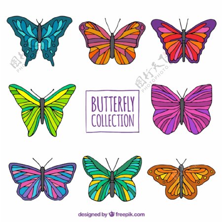 8个创意蝴蝶彩色素材