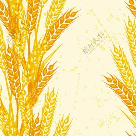 黄色麦穗图案