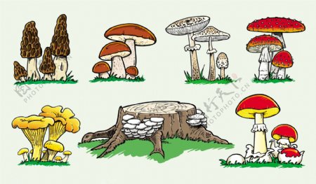 草地蘑菇设计