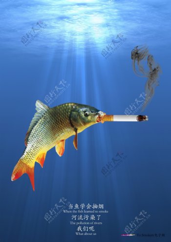 当鱼学会抽烟