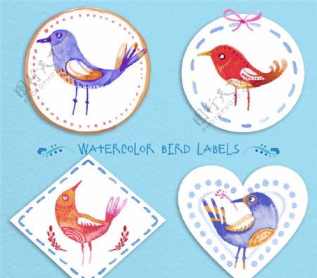 水彩绘鸟类标签矢量素材