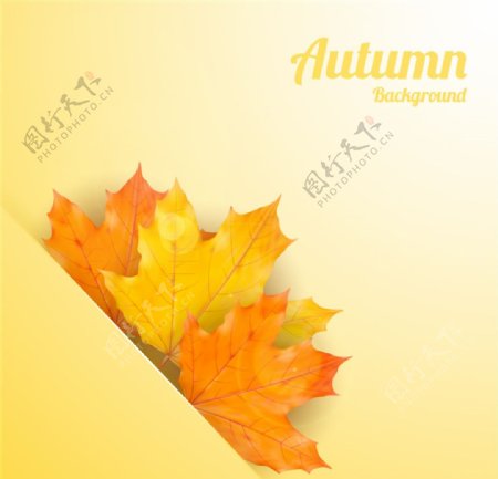 秋季镶嵌树叶背景矢量素材