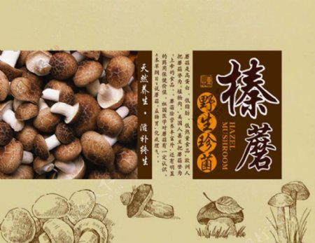 野生珍菌榛蘑菇食品包装设计模板