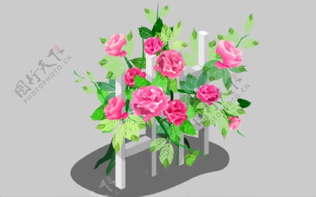 木栅栏上的玫瑰花flash动画
