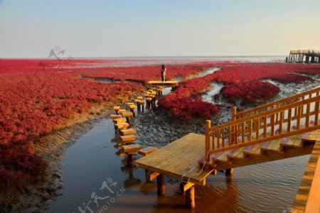 辽宁盘锦红海滩国家风景廊道
