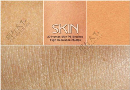 20种皮肤纹理人体皮肤Photoshop材质笔刷