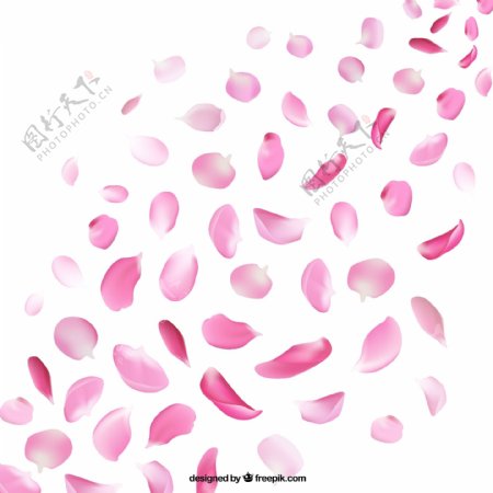 粉色花瓣设计矢量素材