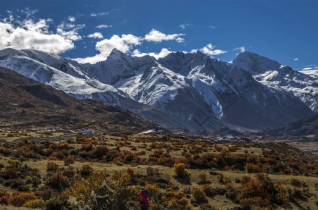 西藏来古冰川风景