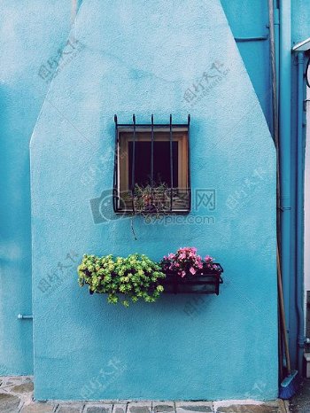 鲜花墙壁窗户小蓝色墙壁