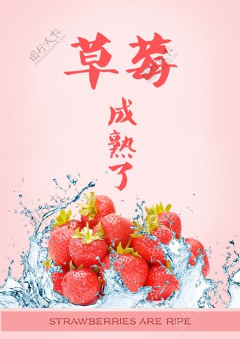 草莓成熟了海报
