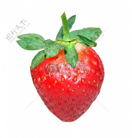 一颗新鲜的红草莓