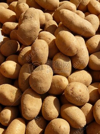 市场里新鲜的土豆