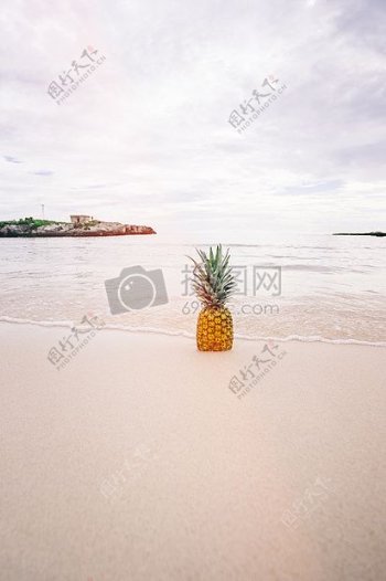 白天菠萝水果海岸