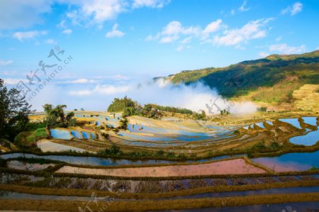 云南元阳梯田风景