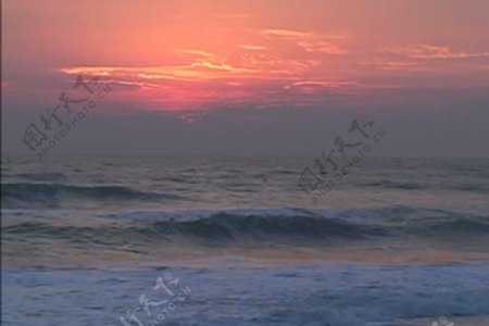 在黎明的股票视频大西洋海浪和鸟视频免费下载