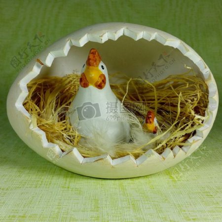 蛋壳中的两只鸡