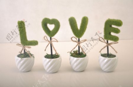 绿色LOVE盆栽图片