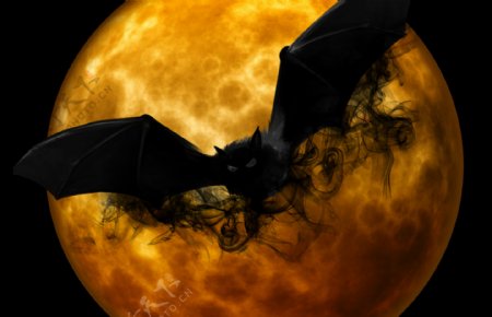 恐怖万圣节蝙蝠背景图片