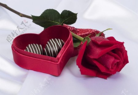 浪漫玫瑰花与巧克力图片