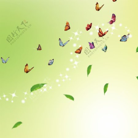 蝴蝶落叶高光绿色背景素材
