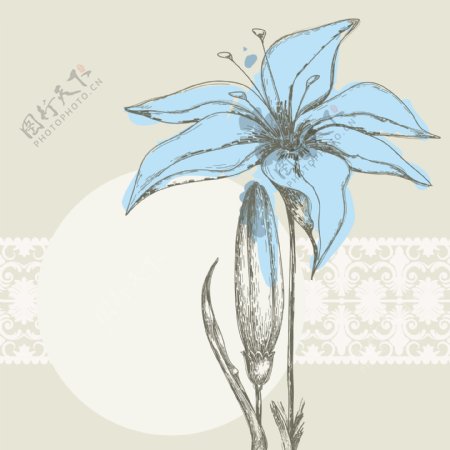 手绘蓝色花朵背景
