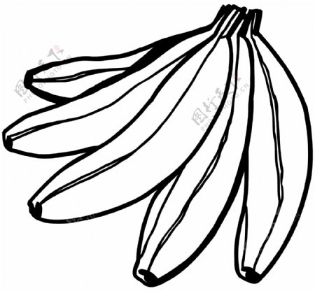 香蕉水果矢量素材EPS格式0098