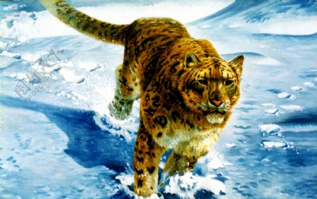 奔跑的雪豹油画图片