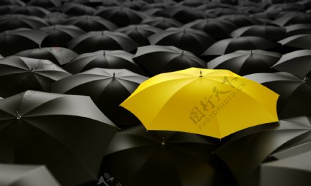 黑色与黄色雨伞图片