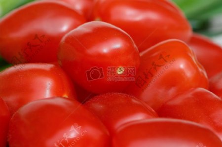 熟透的番茄