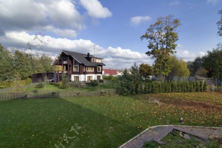 草地上的落叶与房子图片