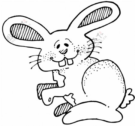 兔子常见动物矢量素材eps格式0005