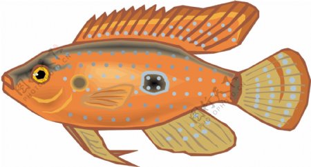 五彩小鱼水生动物矢量素材EPS格式0145