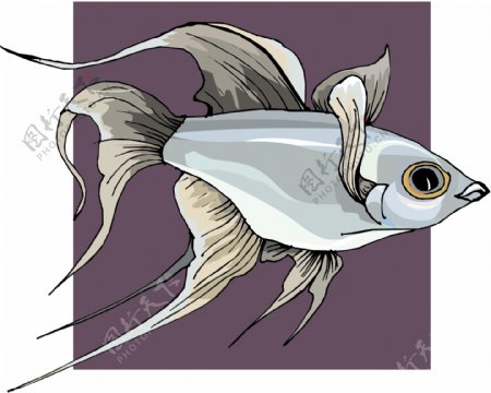 五彩小鱼水生动物矢量素材EPS格式0389