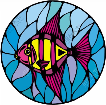 五彩小鱼水生动物矢量素材EPS格式0495
