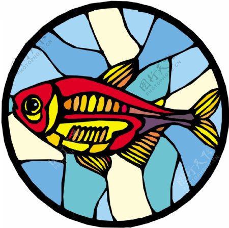 五彩小鱼水生动物矢量素材EPS格式0514