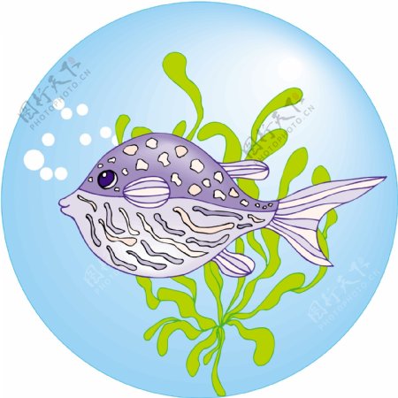 五彩小鱼水生动物矢量素材EPS格式0679