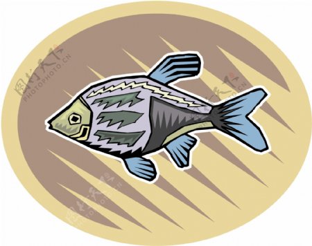 五彩小鱼水生动物矢量素材EPS格式0722