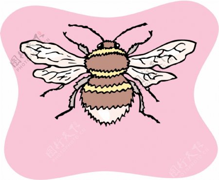 蜜蜂矢量素材EPS格式0015