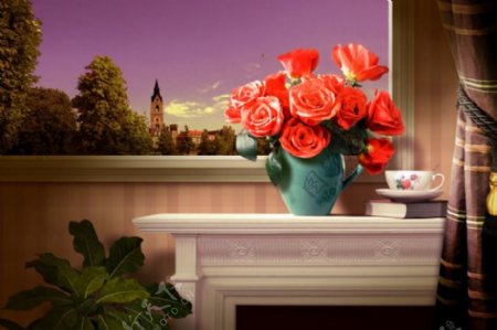 窗台上的玫瑰花